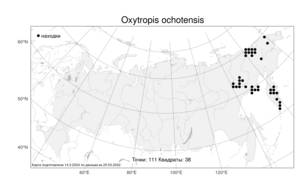 Oxytropis ochotensis, Остролодочник охотский Bunge, Атлас флоры России (FLORUS) (Россия)