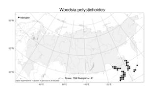 Woodsia polystichoides, Вудсия многорядниковая D. C. Eaton, Атлас флоры России (FLORUS) (Россия)