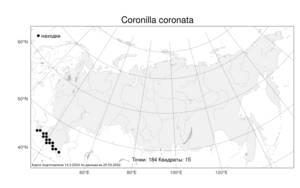 Coronilla coronata, Вязель корончатый, Вязель увенчанный L., Атлас флоры России (FLORUS) (Россия)