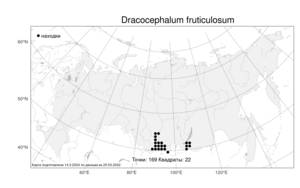Dracocephalum fruticulosum, Змееголовник кустарничковый Stephan ex Willd., Атлас флоры России (FLORUS) (Россия)