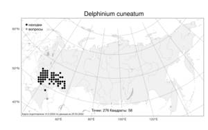 Delphinium cuneatum, Живокость клиновидная Steven ex DC., Атлас флоры России (FLORUS) (Россия)