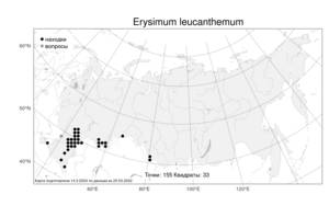 Erysimum leucanthemum, Желтушник белоцветковый (Stephan) B.Fedtsch., Атлас флоры России (FLORUS) (Россия)