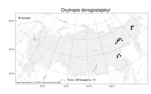 Oxytropis dorogostajskyi, Остролодочник Дорогостайского Kuzen., Атлас флоры России (FLORUS) (Россия)