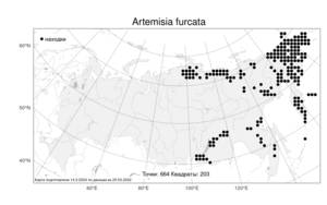 Artemisia furcata, Полынь вильчатая M. Bieb., Атлас флоры России (FLORUS) (Россия)