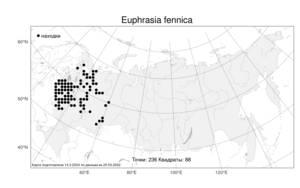 Euphrasia fennica, Очанка лекарственная, Атлас флоры России (FLORUS) (Россия)