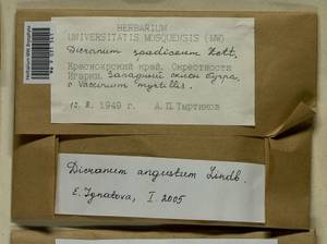 Dicranum angustum Lindb., Гербарий мохообразных, Мхи - Красноярский край, Тыва и Хакасия (B17) (Россия)
