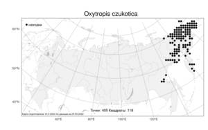 Oxytropis czukotica, Остролодочник чукотский Jurtzev, Атлас флоры России (FLORUS) (Россия)