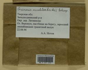 Grimmia muehlenbeckii Schimp., Гербарий мохообразных, Мхи - Центральное Нечерноземье (B6) (Россия)
