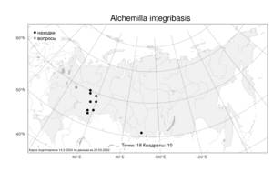 Alchemilla integribasis, Манжетка цельноосновная Juz., Атлас флоры России (FLORUS) (Россия)