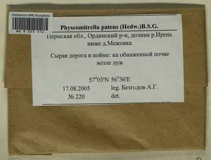 Physcomitrium patens (Hedw.) Mitt., Гербарий мохообразных, Мхи - Пермский край, Удмуртия, Свердловская и Кировская области (B8) (Россия)