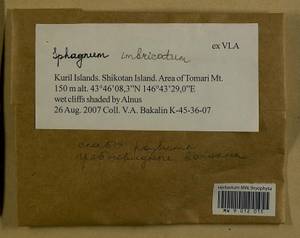 Sphagnum imbricatum Hornsch. ex Russow, Гербарий мохообразных, Мхи - Дальний Восток (без Чукотки и Камчатки) (B20) (Россия)