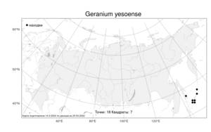 Geranium yesoense, Герань йезская Franch. & Sav., Атлас флоры России (FLORUS) (Россия)