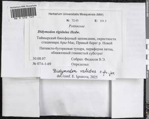 Didymodon validus Limpr., Гербарий мохообразных, Мхи - Красноярский край, Тыва и Хакасия (B17) (Россия)
