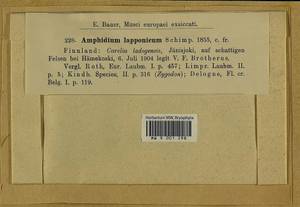 Amphidium lapponicum (Hedw.) Schimp., Гербарий мохообразных, Мхи - Карелия, Ленинградская и Мурманская области (B4) (Россия)