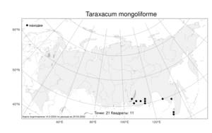 Taraxacum mongoliforme, Одуванчик монгольсковидный R. Doll, Атлас флоры России (FLORUS) (Россия)