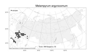 Melampyrum argyrocomum, Марьянник полевой L., Атлас флоры России (FLORUS) (Россия)