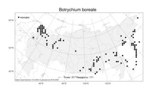 Botrychium boreale, Гроздовник северный Milde, Атлас флоры России (FLORUS) (Россия)