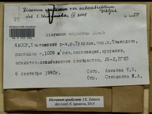 Dicranum spadiceum J.E. Zetterst., Гербарий мохообразных, Мхи - Якутия (B19) (Россия)