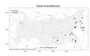 Carex kreczetoviczii, Осока Кречетовича T.V.Egorova, Атлас флоры России (FLORUS) (Россия)