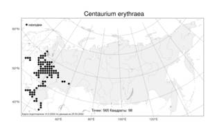 Centaurium erythraea, Золототысячник обыкновенный Rafn, Атлас флоры России (FLORUS) (Россия)