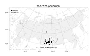 Valeriana paucijuga, Валериана малолисточковая Sumnev., Атлас флоры России (FLORUS) (Россия)