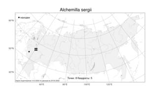 Alchemilla sergii, Манжетка Сергея V. N. Tikhom., Атлас флоры России (FLORUS) (Россия)