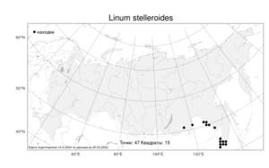 Linum stelleroides, Лен стеллеровидный Planch., Атлас флоры России (FLORUS) (Россия)