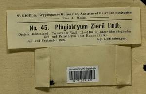 Plagiobryum zieri (Dicks. ex Hedw.) Lindb., Гербарий мохообразных, Мхи - Западная Европа (BEu) (Словения)