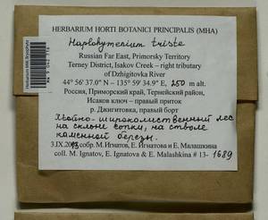 Haplohymenium triste (Ces.) Kindb., Гербарий мохообразных, Мхи - Дальний Восток (без Чукотки и Камчатки) (B20) (Россия)