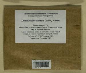 Drepanocladus aduncus (Hedw.) Warnst., Гербарий мохообразных, Мхи - Архангельская и Вологодская области, Коми, Ненецкий АО (B7) (Россия)