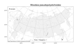 Woodsia pseudopolystichoides, Вудсия ложномногорядниковая (Fomin) Kiselev & Shmakov, Атлас флоры России (FLORUS) (Россия)