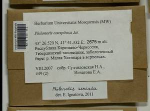 Philonotis seriata Mitt., Гербарий мохообразных, Мхи - Северный Кавказ и Предкавказье (B12) (Россия)