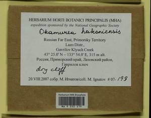 Okamuraea hakoniensis (Mitt.) Broth., Гербарий мохообразных, Мхи - Дальний Восток (без Чукотки и Камчатки) (B20) (Россия)