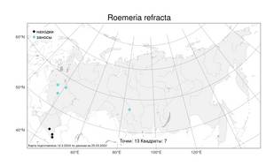 Roemeria refracta, Ремерия отогнутая DC., Атлас флоры России (FLORUS) (Россия)