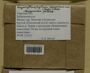 Geheebia fallax (Hedw.) R.H. Zander, Гербарий мохообразных, Мхи - Центральное Нечерноземье (B6) (Россия)