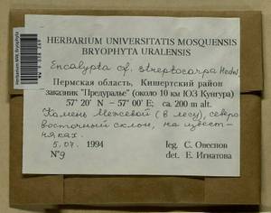Encalypta streptocarpa Hedw., Гербарий мохообразных, Мхи - Пермский край, Удмуртия, Свердловская и Кировская области (B8) (Россия)
