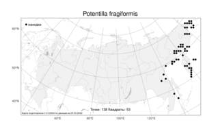 Potentilla fragiformis, Лапчатка земляниковидная Willd. ex D. F. K. Schltdl., Атлас флоры России (FLORUS) (Россия)
