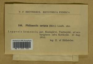 Philonotis seriata Mitt., Гербарий мохообразных, Мхи - Западная Европа (BEu) (Финляндия)