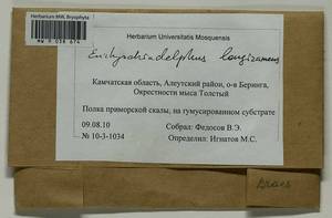 Myuroclada longiramea (Müll. Hal.) Min Li, Y.F. Wang, Ignatov & Huttunen, Гербарий мохообразных, Мхи - Чукотка и Камчатка (B21) (Россия)