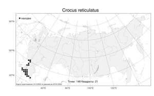 Crocus reticulatus, Шафран сетчатый Steven ex Adams, Атлас флоры России (FLORUS) (Россия)