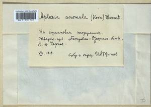 Mylia anomala (Hook.) Gray, Гербарий мохообразных, Мхи - Центральное Нечерноземье (B6) (Россия)