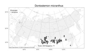 Dontostemon micranthus, Донтостемон мелкоцветковый C. A. Mey., Атлас флоры России (FLORUS) (Россия)