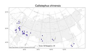 Callistephus chinensis, Однолетняя астра китайская (L.) Nees, Атлас флоры России (FLORUS) (Россия)