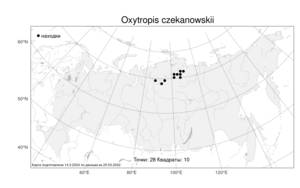 Oxytropis czekanowskii, Остролодочник Чекановского Jurtzev, Атлас флоры России (FLORUS) (Россия)