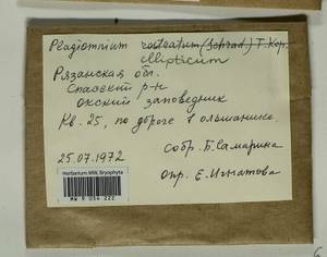 Plagiomnium ellipticum (Brid.) T.J. Kop., Гербарий мохообразных, Мхи - Центральное Нечерноземье (B6) (Россия)