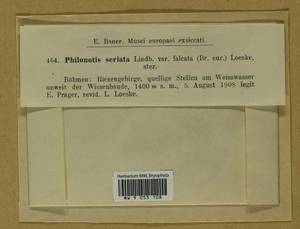 Philonotis seriata Mitt., Гербарий мохообразных, Мхи - Западная Европа (BEu) (Чехия)