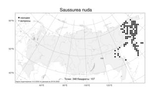 Saussurea nuda, Соссюрея голая, Горькуша голая Ledeb., Атлас флоры России (FLORUS) (Россия)