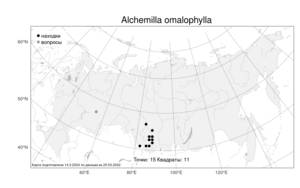 Alchemilla omalophylla, Манжетка плосколистная Juz., Атлас флоры России (FLORUS) (Россия)