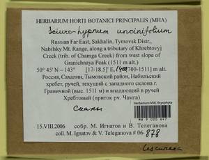 Sciuro-hypnum uncinifolium (Broth. & Paris) Ochyra & Żarnowiec, Гербарий мохообразных, Мхи - Дальний Восток (без Чукотки и Камчатки) (B20) (Россия)