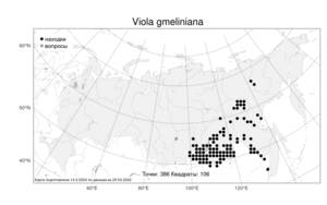 Viola gmeliniana, Фиалка Гмелина Schult., Атлас флоры России (FLORUS) (Россия)